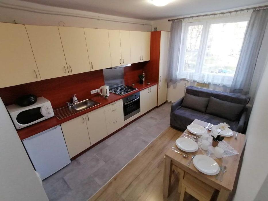 Apartament Mieszkanie Reymonta *